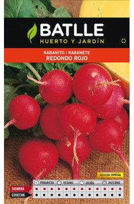 Rabanito Redondo Rojo Sel.especial Sobre