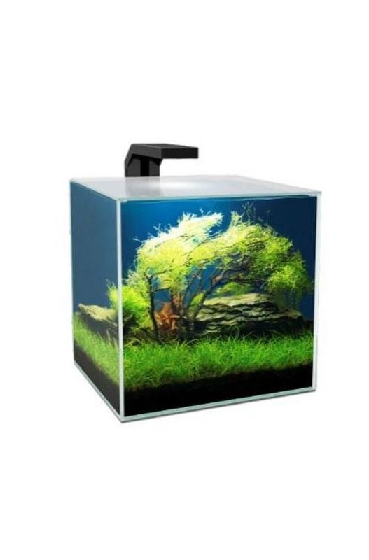 Comprar Acuario Cube Aqua 10 Lts. Con Filtro Cf20